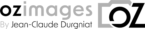 DCLR Records